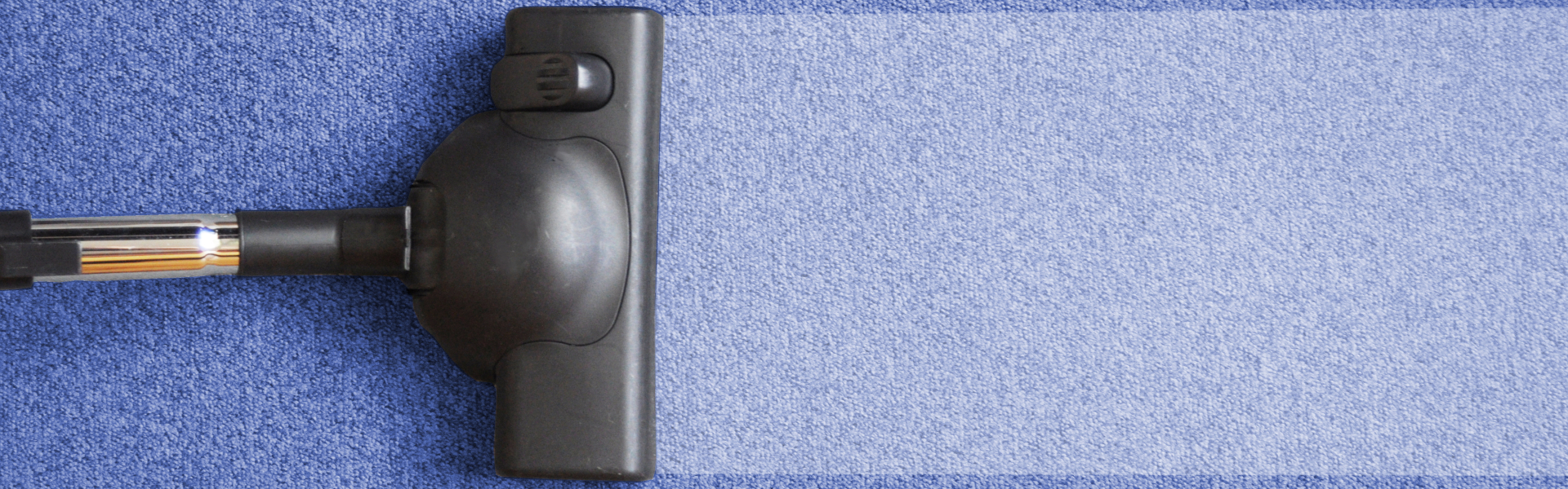 Elite Restoration  - Carpet Cleaning Service